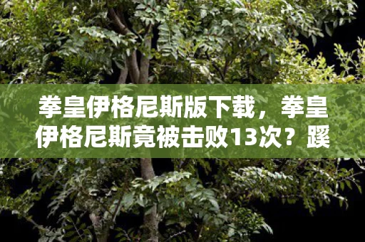 拳皇伊格尼斯版下载,拳皇伊格尼斯竟被击败13次?蹊跷背后真相,让人后背发凉! 拳皇伊格尼斯版下载,拳皇伊格尼斯竟被击败13次?蹊跷背后真相,让人后背发凉!