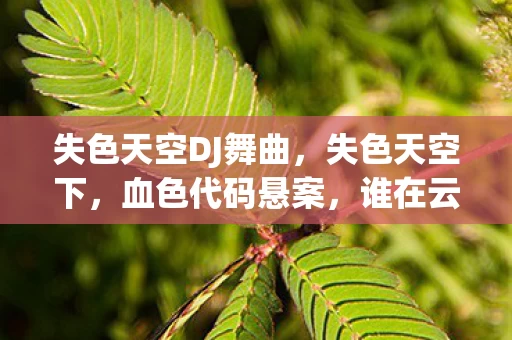 失色天空DJ舞曲,失色天空下,血色代码悬案,谁在云端编织毛骨悚然的死亡乐章? 失色天空DJ舞曲,失色天空下,血色代码悬案,谁在云端编织毛骨悚然的死亡乐章?