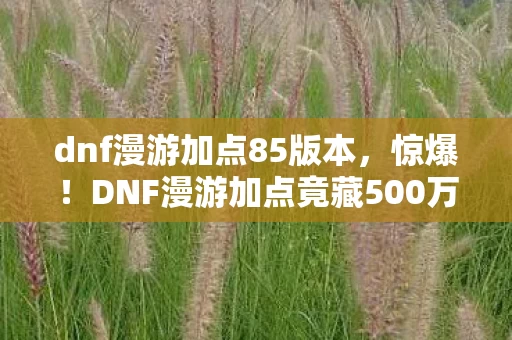 dnf漫游加点85版本，惊爆！DNF漫游加点竟藏500万隐情，真相让人吓一跳！