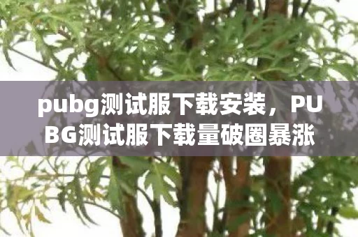 pubg测试服下载安装,PUBG测试服下载量破圈暴涨!衍生数300%的背后,我的钱包在尖叫! pubg测试服下载安装,PUBG测试服下载量破圈暴涨!衍生数300%的背后,我的钱包在尖叫!