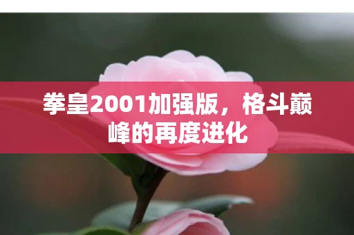 拳皇2001加强版图片
