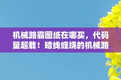 机械路霸图纸在哪买,代码量超载!暗线缠绕的机械路霸,当BUG成为生存法则,头皮发麻的次元跃迁 机械路霸图纸在哪买,代码量超载!暗线缠绕的机械路霸,当BUG成为生存法则,头皮发麻的次元跃迁