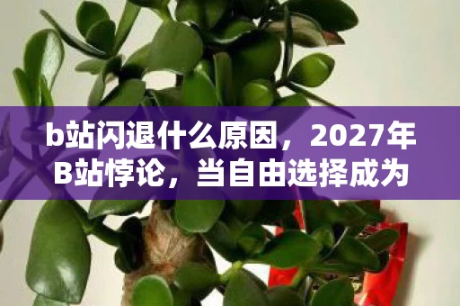 b站闪退什么原因，2027年B站悖论，当自由选择成为闪退的诅咒，你的抽卡人生还剩几秒？