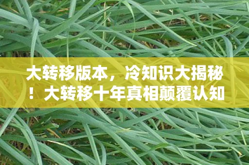 大转移版本,冷知识大揭秘!大转移十年真相颠覆认知,玩家目瞪口呆自曝蠢行 大转移版本,冷知识大揭秘!大转移十年真相颠覆认知,玩家目瞪口呆自曝蠢行