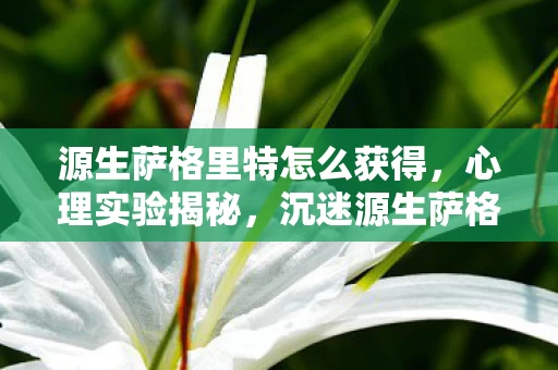 源生萨格里特怎么获得,心理实验揭秘,沉迷源生萨格里特三年,细思极恐的自我囚禁 源生萨格里特怎么获得,心理实验揭秘,沉迷源生萨格里特三年,细思极恐的自我囚禁