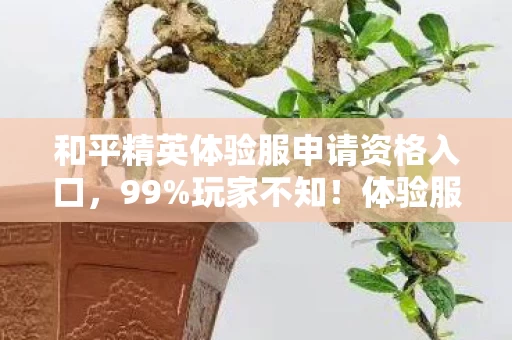 和平精英体验服申请资格入口,99%玩家不知!体验服申请暗藏3大逆天机制,错过再等3年! 和平精英体验服申请资格入口,99%玩家不知!体验服申请暗藏3大逆天机制,错过再等3年!