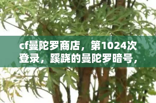 cf曼陀罗商店，第1024次登录，蹊跷的曼陀罗暗号，让我后背发凉的十年逃亡