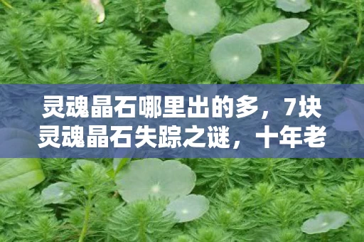 灵魂晶石哪里出的多，7块灵魂晶石失踪之谜，十年老玩家亲历的版本暗涌与真相