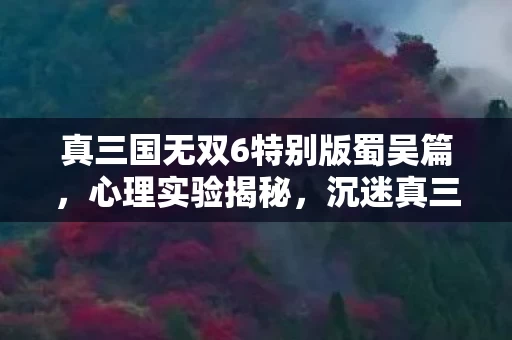 真三国无双6特别版蜀吴篇，心理实验揭秘，沉迷真三国无双6特别版竟藏着细思极恐的真相