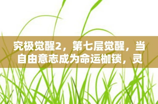 究极觉醒2，第七层觉醒，当自由意志成为命运枷锁，灵魂震颤的终极悖论