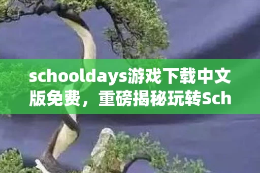 schooldays游戏下载中文版免费，重磅揭秘玩转SchoolDays的10大震撼体验，资深玩家心得大公开！