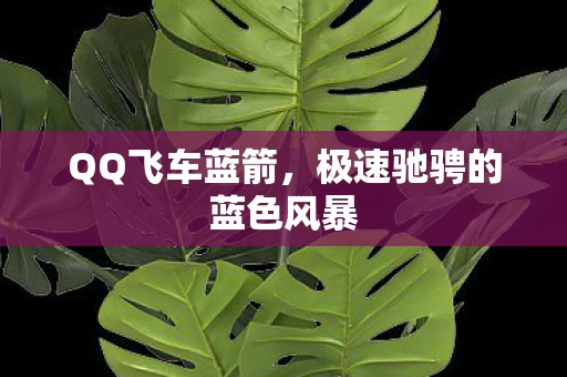 极速驰骋的蓝色风暴图片