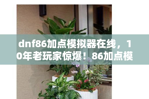 dnf86加点模拟器在线，10年老玩家惊爆！86加点模拟器竟藏着这些致命秘密？