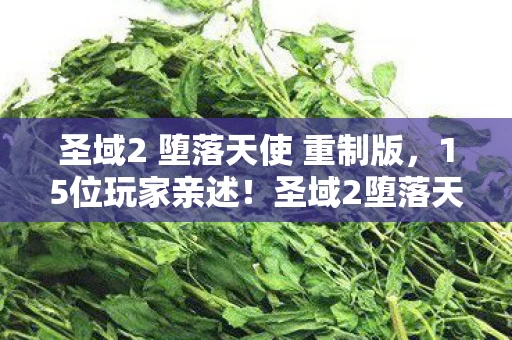 圣域2 堕落天使 重制版,15位玩家亲述!圣域2堕落天使疑云,这设定谁绷得住啊? 圣域2 堕落天使 重制版,15位玩家亲述!圣域2堕落天使疑云,这设定谁绷得住啊?