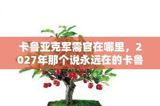 卡鲁亚克军需官在哪里，2027年那个说永远在的卡鲁亚克军需官，让我鼻子一酸