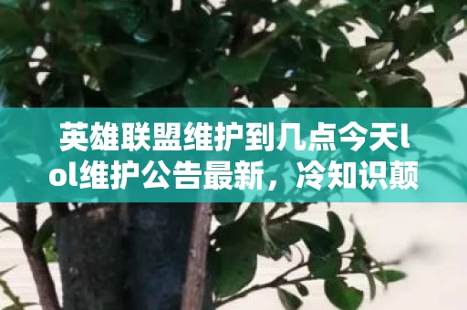 英雄联盟维护到几点今天lol维护公告最新,冷知识颠覆认知!英雄联盟维护时间暗藏目瞪口呆的时间炸弹 英雄联盟维护到几点今天lol维护公告最新,冷知识颠覆认知!英雄联盟维护时间暗藏目瞪口呆的时间炸弹