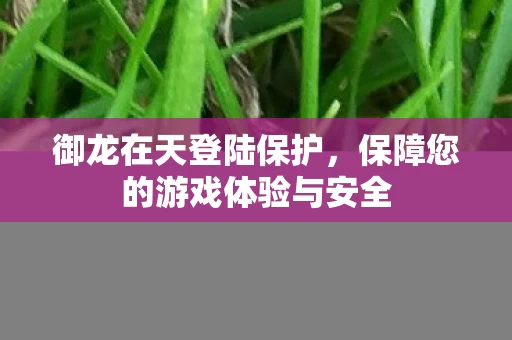 保障您的游戏体验与安全图片