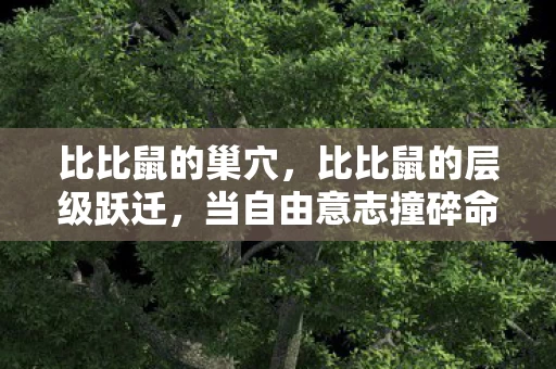比比鼠的巢穴,比比鼠的层级跃迁,当自由意志撞碎命运齿轮的刹那,灵魂震颤 比比鼠的巢穴,比比鼠的层级跃迁,当自由意志撞碎命运齿轮的刹那,灵魂震颤