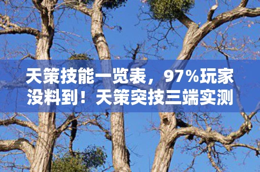 天策技能一览表,97%玩家没料到!天策突技三端实测,手机搓屏竟比主机快0.3秒? 天策技能一览表,97%玩家没料到!天策突技三端实测,手机搓屏竟比主机快0.3秒?