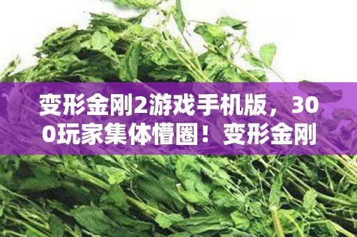 变形金刚2游戏手机版,300玩家集体懵圈!变形金刚2惊现能量块消失术,老炮当场绷不住 变形金刚2游戏手机版,300玩家集体懵圈!变形金刚2惊现能量块消失术,老炮当场绷不住