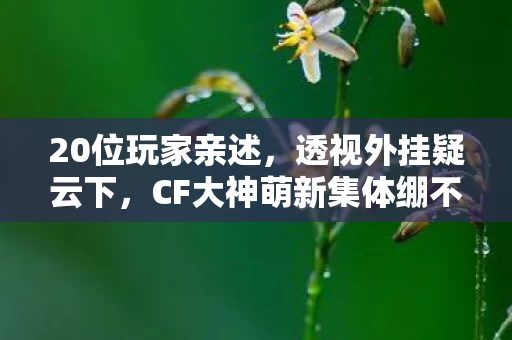 20位玩家亲述,透视外挂疑云下,CF大神萌新集体绷不住的真相? 20位玩家亲述,透视外挂疑云下,CF大神萌新集体绷不住的真相?