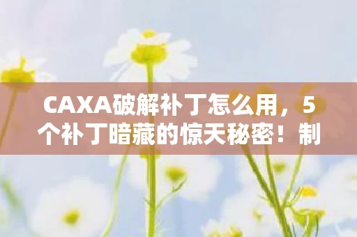 CAXA破解补丁怎么用，5个补丁暗藏的惊天秘密！制作组打死不说的致命设计漏洞