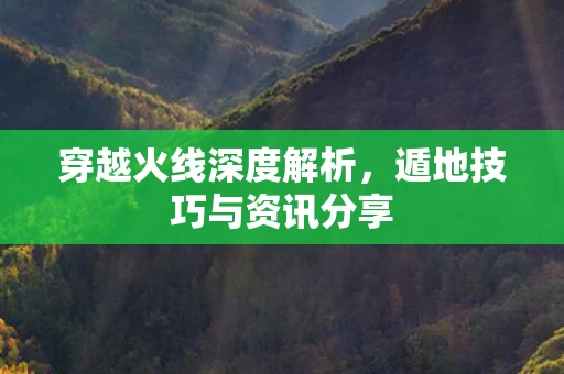 遁地技巧与资讯分享图片