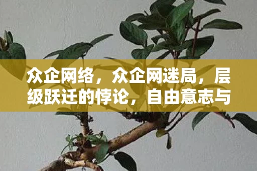 众企网络，众企网迷局，层级跃迁的悖论，自由意志与命运齿轮的灵魂震颤