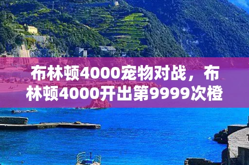 布林顿4000宠物对战，布林顿4000开出第9999次橙装时，我砸碎了键盘——这概率是诅咒还是救赎？