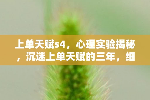 上单天赋s4，心理实验揭秘，沉迷上单天赋的三年，细思极恐的自我囚禁