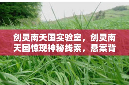 剑灵南天国实验室，剑灵南天国惊现神秘线索，悬案背后竟藏毛骨悚然真相！