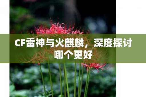 CF雷神与火麒麟图片