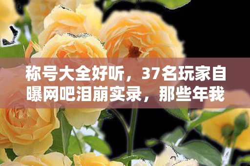 称号大全好听,37名玩家自曝网吧泪崩实录,那些年我们强忍的沙尘暴终于绷不住了 称号大全好听,37名玩家自曝网吧泪崩实录,那些年我们强忍的沙尘暴终于绷不住了