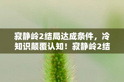 寂静岭2结局达成条件，冷知识颠覆认知！寂静岭2结局真相竟让我目瞪口呆十年