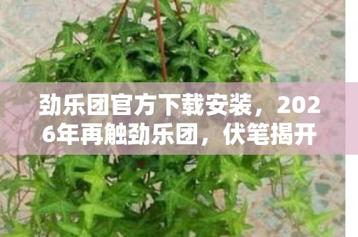 劲乐团官方下载安装,2026年再触劲乐团,伏笔揭开旧时光,鼻子一酸忆往昔 劲乐团官方下载安装,2026年再触劲乐团,伏笔揭开旧时光,鼻子一酸忆往昔
