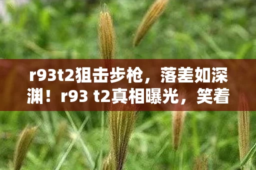 r93t2狙击步枪,落差如深渊!r93 t2真相曝光,笑着骂完,却笑着笑着哭了 r93t2狙击步枪,落差如深渊!r93 t2真相曝光,笑着骂完,却笑着笑着哭了