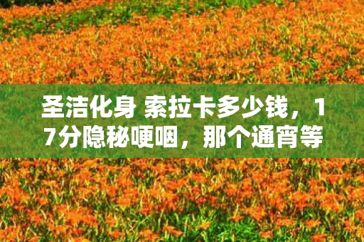 圣洁化身 索拉卡多少钱,17分隐秘哽咽,那个通宵等索拉卡回城的夜晚,我们都没等到天亮 圣洁化身 索拉卡多少钱,17分隐秘哽咽,那个通宵等索拉卡回城的夜晚,我们都没等到天亮