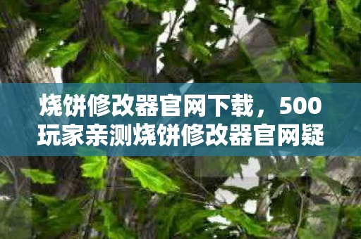 烧饼修改器官网下载,500玩家亲测烧饼修改器官网疑云,这波操作真让人绷不住! 烧饼修改器官网下载,500玩家亲测烧饼修改器官网疑云,这波操作真让人绷不住!