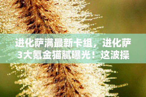 进化萨满最新卡组,进化萨3大氪金猫腻曝光!这波操作让我直接上头卸载 进化萨满最新卡组,进化萨3大氪金猫腻曝光!这波操作让我直接上头卸载