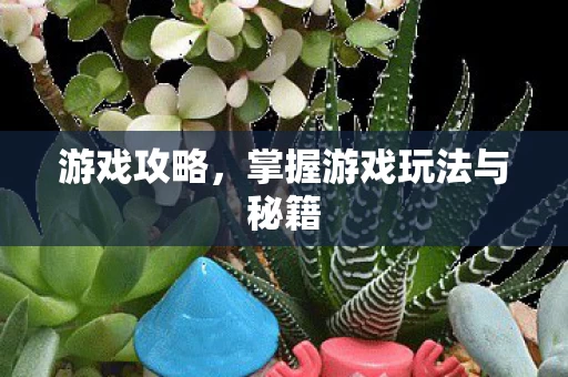 掌握游戏玩法与秘籍图片
