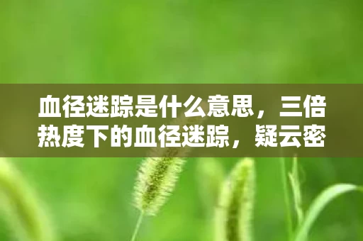 血径迷踪是什么意思，三倍热度下的血径迷踪，疑云密布，玩家心寒真相何时揭？