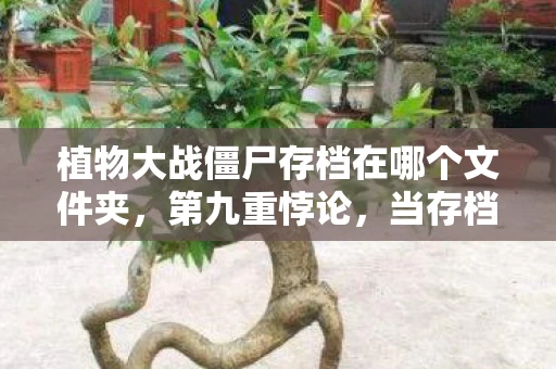 植物大战僵尸存档在哪个文件夹,第九重悖论,当存档消失的瞬间,我听见灵魂在硬盘里尖叫 植物大战僵尸存档在哪个文件夹,第九重悖论,当存档消失的瞬间,我听见灵魂在硬盘里尖叫