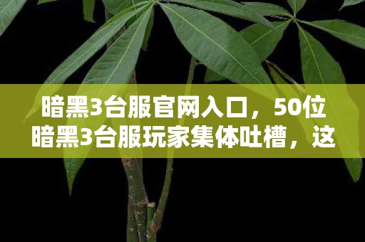 暗黑3台服官网入口,50位暗黑3台服玩家集体吐槽,这疑点让人绷不住,你还敢玩吗? 暗黑3台服官网入口,50位暗黑3台服玩家集体吐槽,这疑点让人绷不住,你还敢玩吗?