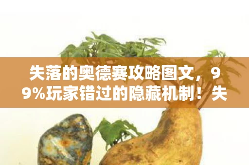 失落的奥德赛攻略图文,99%玩家错过的隐藏机制!失落的奥德赛竟藏着颠覆认知的战斗法则 失落的奥德赛攻略图文,99%玩家错过的隐藏机制!失落的奥德赛竟藏着颠覆认知的战斗法则