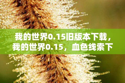 我的世界0.15旧版本下载，我的世界0.15，血色线索下的悬案，毛骨悚然自掘坟墓
