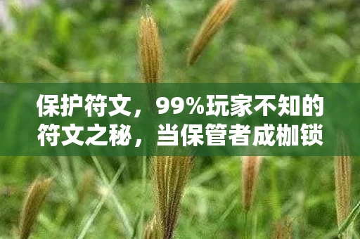 保护符文,99%玩家不知的符文之秘,当保管者成枷锁,谁在吞噬你的灵魂? 保护符文,99%玩家不知的符文之秘,当保管者成枷锁,谁在吞噬你的灵魂?