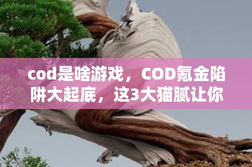 cod是啥游戏,COD氪金陷阱大起底,这3大猫腻让你2024年还傻乎乎上头? cod是啥游戏,COD氪金陷阱大起底,这3大猫腻让你2024年还傻乎乎上头?