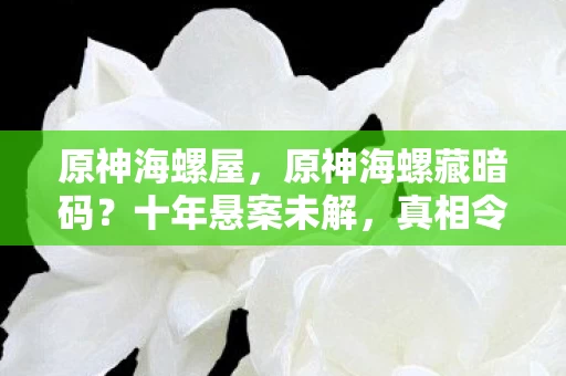 原神海螺屋,原神海螺藏暗码?十年悬案未解,真相令人毛骨悚然! 原神海螺屋,原神海螺藏暗码?十年悬案未解,真相令人毛骨悚然!