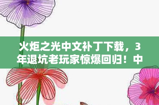 火炬之光中文补丁下载,3年退坑老玩家惊爆回归!中文补丁竟让火炬之光焕发新生? 火炬之光中文补丁下载,3年退坑老玩家惊爆回归!中文补丁竟让火炬之光焕发新生?