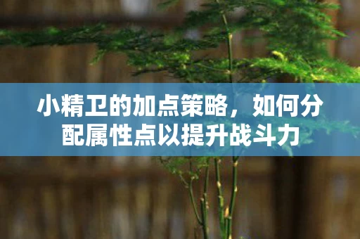 如何分配属性点以提升战斗力图片